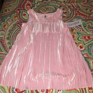 NWT Cat & Jack Pink Velvet Pleated Dress